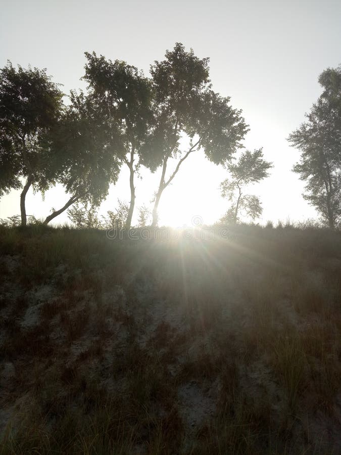 Sunrise royalty free stock images Sunrise royalty free stock images